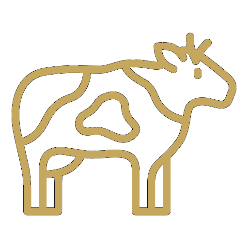 vaca_golden